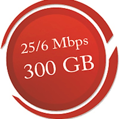 YahClick Enhanced 300 GB